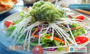 Top 5 cách làm salad rong nho giòn ngon giảm cân hiệu quả