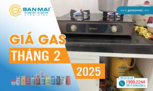 Giá gas Tháng 2/2025 tăng nhẹ