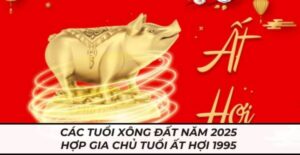 Tuổi xông đất hợp mệnh 1995 Ất Hợi