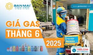 Giá gas tháng 6 2025 giảm nhẹ